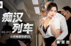 Molester Train Openly Fucks Sexy OL Lin Yan