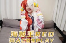 One Piece RED Doujin Cosplay